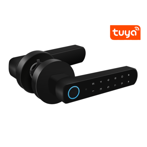Secukey Wireless Access Control Power Supply Biometric Fingerprint Smart Door Lock with Tuya App